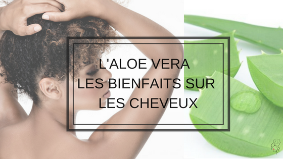 Comment utiliser le gel d'aloe vera sur les cheveux boucls  crpus ?