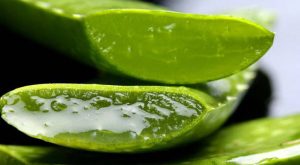 aloe vera soin peau visage corps