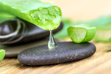 les bienfaits de d'aloe vera