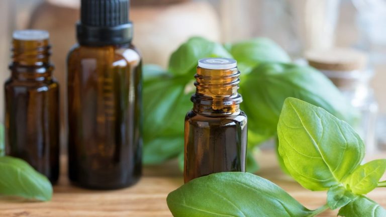 11 huiles essentielles contre la chute de cheveux huiles essentielle qui luttent contre la chute de cheveux