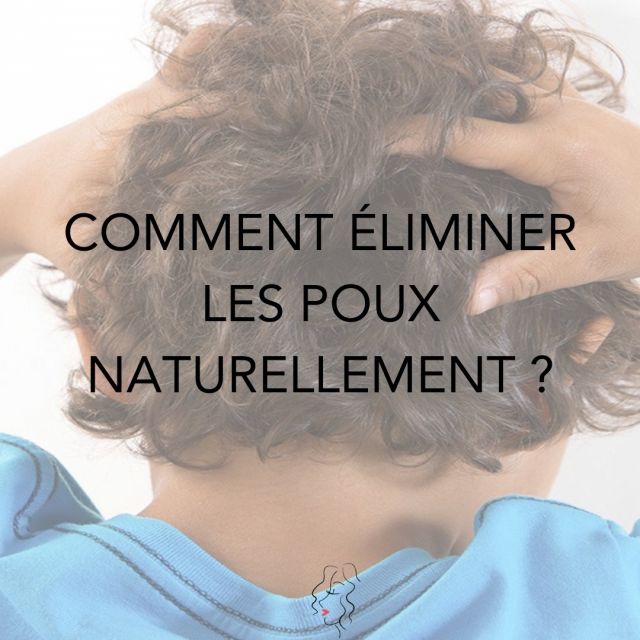 [MAGAZINE] Les poux, ces petits insectes qui aiment les têtes de nos enfants. Dès qu’ils ont choisi leur proie ils s’incrustent et il est difficile de les retirer facilement. Il existe divers produits répulsifs mais très agressifs pour le cuir chevelu, les cheveux et pas très bon pour l’environnement. 
On vous donne des solutions pour éliminer les poux naturellement dans notre article "Comment éliminer les poux naturellement ?"

👉www.curls-essentielle.fr - Lien dans la bio ⬆️
---------------------------------------------------------------------
#cheveuxnaturels #cheveuxenfant #cheveuxenfantsafro #cheveuxenfantmetisse #poux ##éliminerpoux #soinnaturelcheveux #blog #soincapillairenaturel